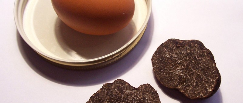 Œuf brouilles au jambon sec et aux truffes