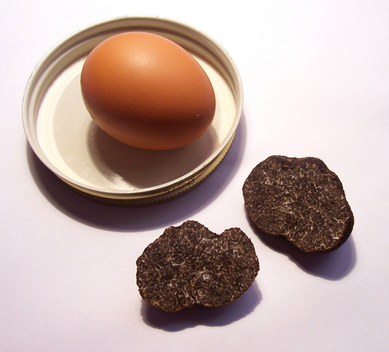 Truffle flavoured eggs with Iberian Ham