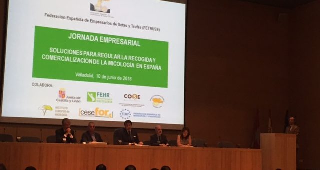 Se debaten en Valladolid las soluciones para la recolección y comercialización de setas y trufas en España