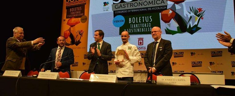 La trufa de Soria y la de Alba hermanadas en Soria Gastronómica 2016