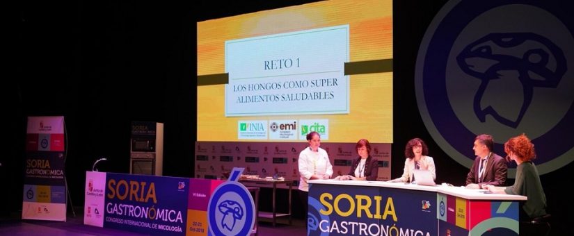25 des meilleurs chefs mycologiques du monde participent au VI Congrès Soria Gastronómica