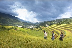 Mujeres en la agricultura. Día Internacional de la Mujer Rural