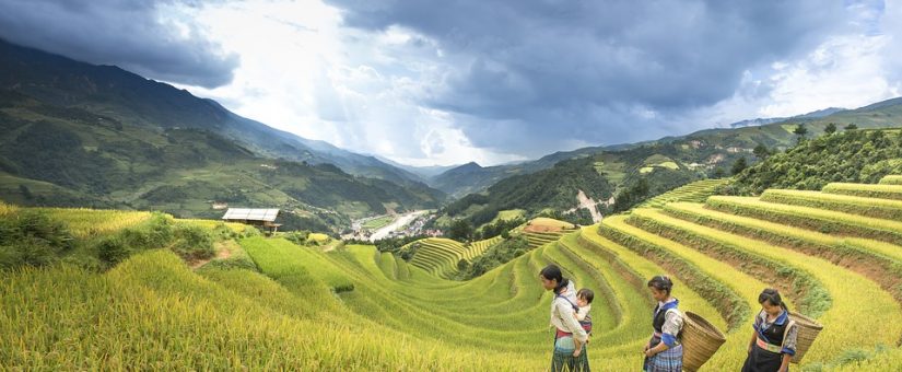 Día Internacional de la Mujer Rural