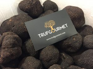 Trufa negra, Tuber Melanosporum de Trufgourmet.