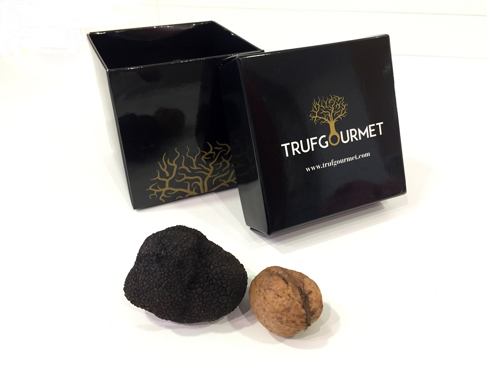 Trufa negra Tuber Melanosporum 40-50 grs.