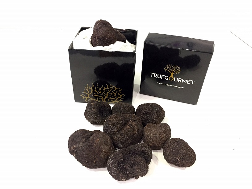 Trufa negra Tuber Melanosporum +100 grs.