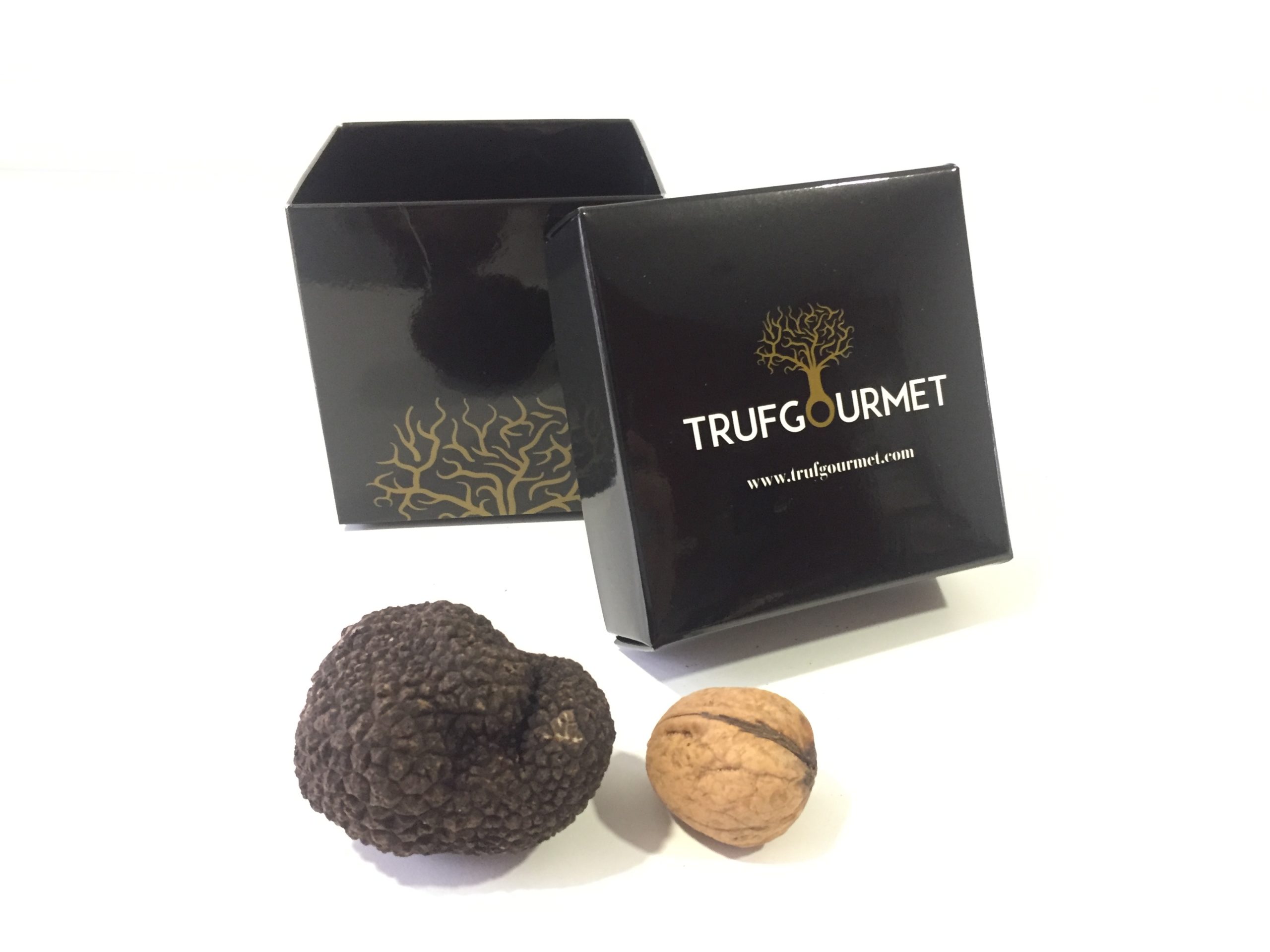 Trufa negra Tuber Melanosporum 60-70 grs - TrufGourmet