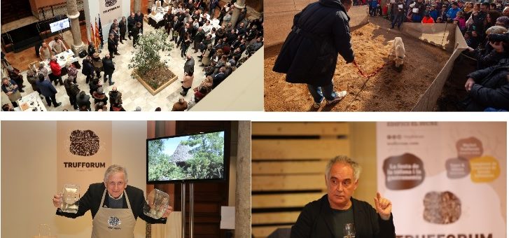 La trufa de Castilla Y León protagonista en Trufforum 2021
