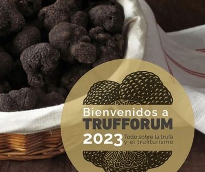 España principal productora de trufa en Trufforum 2023