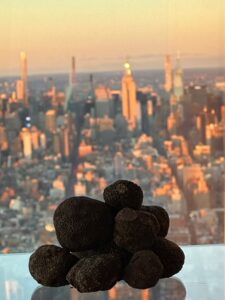 Trufforum en el World Trade Center