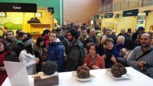 Concurso de la trufa más grande en la Feria de la trufa negra de Soria
